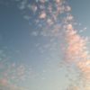 青空　ピンク色の雲