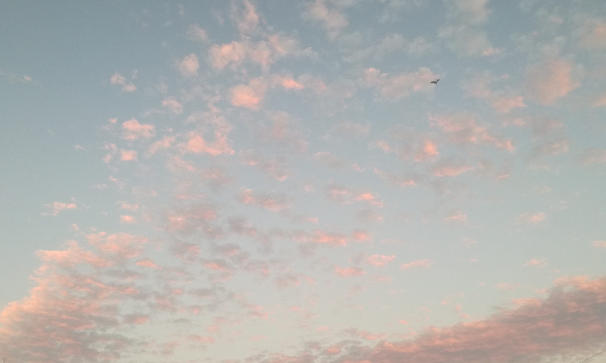 ピンク色の雲